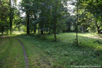 Zabytkowy park w Zaborze, który zostanie zrewitalizowany 
