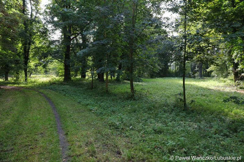 Zabytkowy park w Zaborze, który zostanie zrewitalizowany