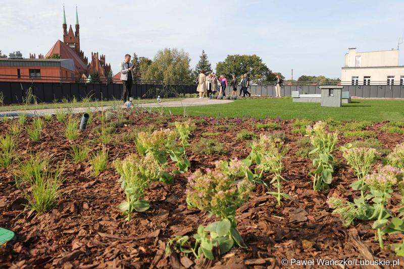 Budowa nowego Pawilonu Rehabilitacyjnego w Lubuskim Centrum Ortopedii w Świebodzinie jest na finiszu. W środę 11 października 2023 r. lecznica otrzymała dodatkowe wsparcie – 3,3 mln zł z funduszy europejskich.