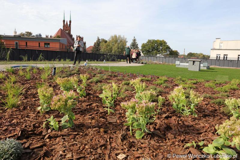 Budowa nowego Pawilonu Rehabilitacyjnego w Lubuskim Centrum Ortopedii w Świebodzinie jest na finiszu. W środę 11 października 2023 r. lecznica otrzymała dodatkowe wsparcie – 3,3 mln zł z funduszy europejskich.
