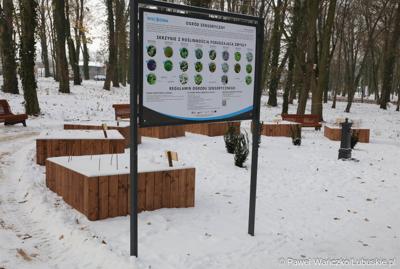Zrewitalizowany Park Wolsztyński we Wschowie
