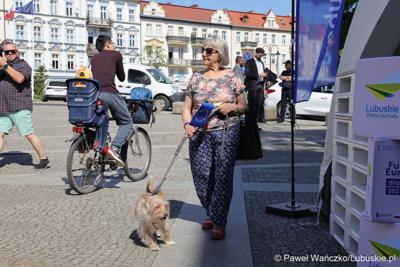 Uczestnicy obchodów 20. rocznicy wstąpienia Polski do Unii Europejskiej w Słubicach