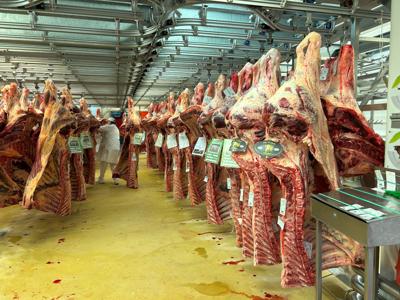Lubuska Misja Gospodarcza Paryż 2024: wizyta lubuskich przedsiębiorców na paryskiej giełdzie Rungis Marché International (30 lipca 2024 r.) 