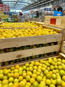Lubuska Misja Gospodarcza Paryż 2024: wizyta lubuskich przedsiębiorców na paryskiej giełdzie Rungis Marché International (30 lipca 2024 r.) 