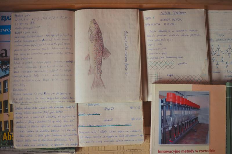 Zapach świeżo grillowanej ryby, dźwięki lokalnej muzyki i ciepło ogniska – tak właśnie świętowaliśmy 10. biesiadę rybacką w Wojnowie
