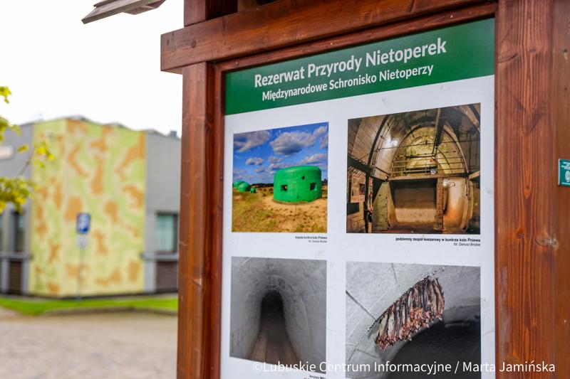 Wejdź do podziemnego świata jednego z największych systemów fortyfikacyjnych w Europie. Międzyrzecki Rejon Umocniony to fascynujące połączenie militarnej precyzji i dzikiej przyrody – miejsce, gdzie betonowe korytarze zamieszkują tysiące nietoperzy.