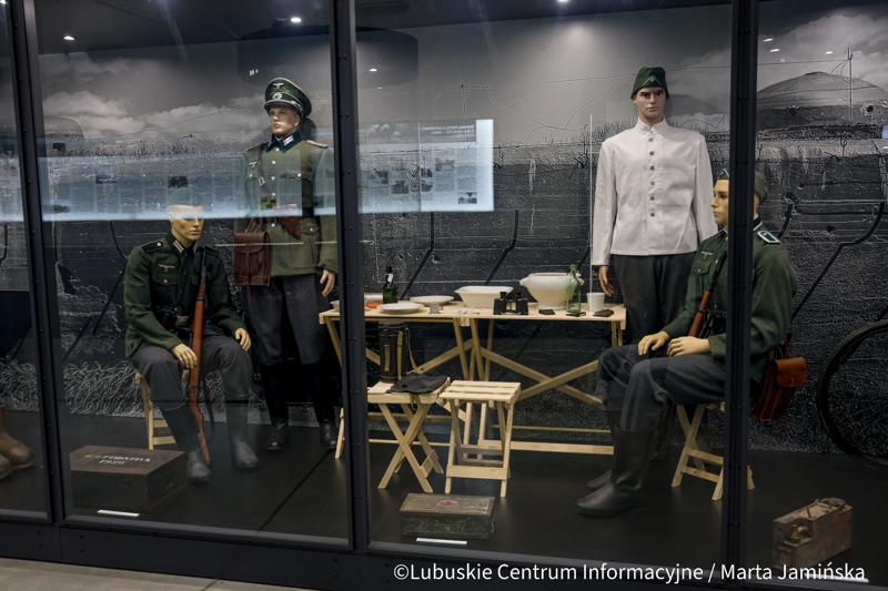 Wejdź do podziemnego świata jednego z największych systemów fortyfikacyjnych w Europie. Międzyrzecki Rejon Umocniony to fascynujące połączenie militarnej precyzji i dzikiej przyrody – miejsce, gdzie betonowe korytarze zamieszkują tysiące nietoperzy.