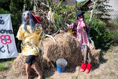 Członek Zarządu Województwa Lubuskiego Anna Chinalska wzięła udział w dożynkach gminnych, które odbyły się 23 sierpnia 2025 r. w Marcinowicach.
