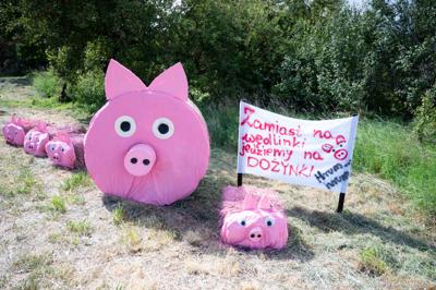 Członek Zarządu Województwa Lubuskiego Anna Chinalska wzięła udział w dożynkach gminnych, które odbyły się 23 sierpnia 2025 r. w Marcinowicach.
