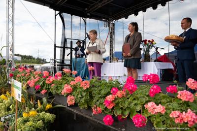 Członek Zarządu Województwa Lubuskiego Anna Chinalska wzięła udział w dożynkach gminnych, które odbyły się 23 sierpnia 2025 r. w Marcinowicach.
