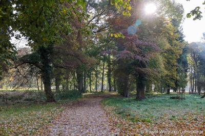 Odnowiony park, położony przy Centrum Leczenia Dzieci i Młodzieży w Zaborze