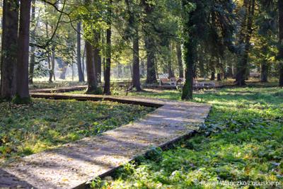 Odnowiony park, położony przy Centrum Leczenia Dzieci i Młodzieży w Zaborze