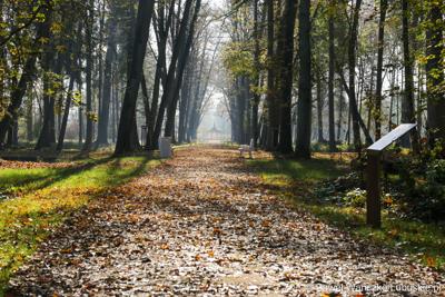 Odnowiony park, położony przy Centrum Leczenia Dzieci i Młodzieży w Zaborze