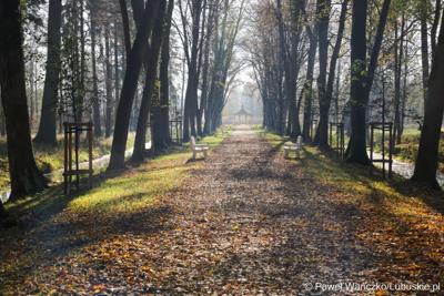 Odnowiony park, położony przy Centrum Leczenia Dzieci i Młodzieży w Zaborze