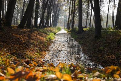 Odnowiony park, położony przy Centrum Leczenia Dzieci i Młodzieży w Zaborze, został oficjalnie zaprezentowany 20 października 2025 r. Zanim jednak doszło do symbolicznego otwarcia terenu, już był on chętnie odwiedzany. 