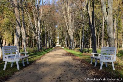Odnowiony park, położony przy Centrum Leczenia Dzieci i Młodzieży w Zaborze