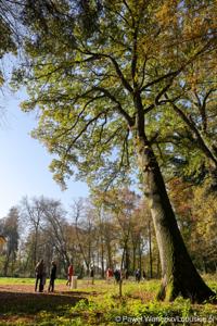 Odnowiony park, położony przy Centrum Leczenia Dzieci i Młodzieży, został oficjalnie zaprezentowany 20 października 2025 r. Zanim jednak doszło do symbolicznego otwarcia terenu, już był on chętnie odwiedzany. 