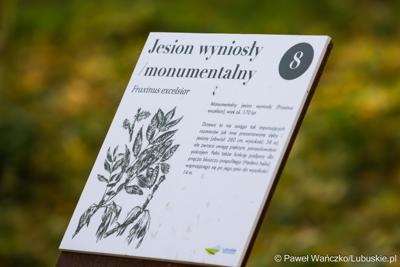 Odnowiony park, położony przy Centrum Leczenia Dzieci i Młodzieży, został oficjalnie zaprezentowany 20 października 2025 r. Zanim jednak doszło do symbolicznego otwarcia terenu, już był on chętnie odwiedzany. 
