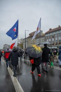 Wojewódzkie obchody Narodowego Święta Niepodległości w Gorzowie Wlkp.