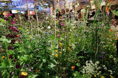 Lubuskie stoisko  na Grüne Woche 2026 przyciągało uwagę odwiedzających.