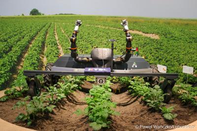 Targi rolnictwa, ogrodnictwa, żywności, leśnictwa oraz zrównoważonego rozwoju „Grüne Woche” w Berlinie 