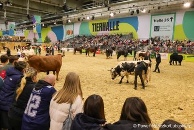 Targi rolnictwa, ogrodnictwa, żywności, leśnictwa oraz zrównoważonego rozwoju „Grüne Woche” w Berlinie 
