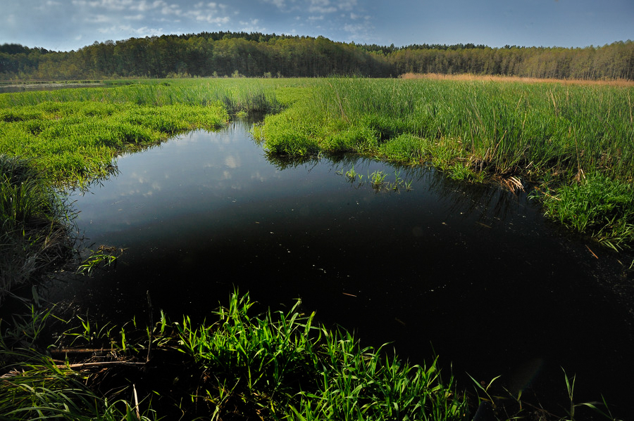 Jezioro w Lubniewicach