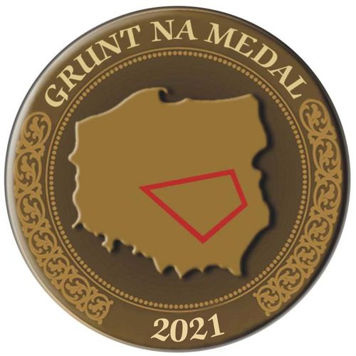 Grafika Grunt na medal 2021