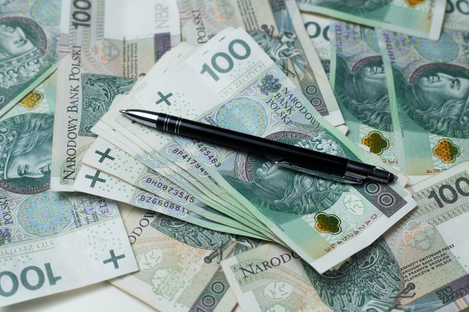 Ustalono maksymalną kwotę dotacji w kwocie 10 000 zł, minimalną – w kwocie 2 000 zł. Fot. Freepik