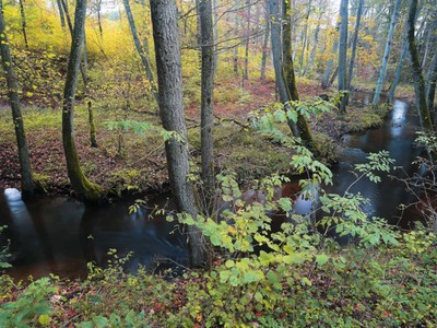 Barlinecko-Gorzowski Park Krajobrazowy