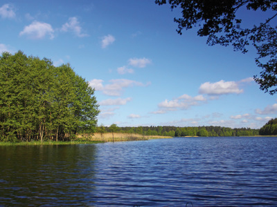 Barlinecko-Gorzowski Park Krajobrazowy