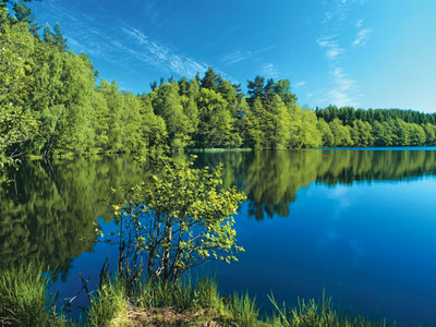 Barlinecko-Gorzowski Park Krajobrazowy