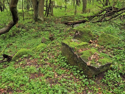 Gryżyński Park Krajobrazowy - Ruiny Młyna Środkowego na Gryżynskim Potoku