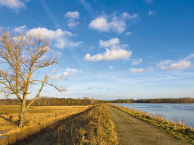 Krzesiński Park Krajobrazowy