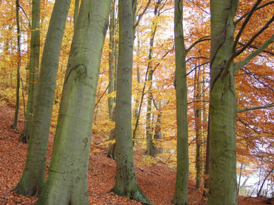 Łagowsko-Sulęciński Park Krajobrazowy