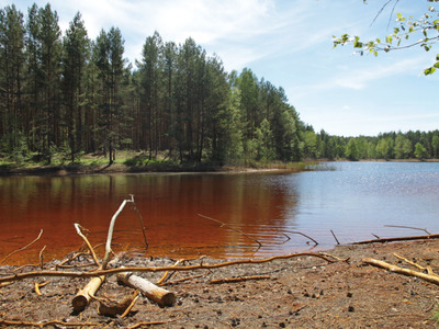 Park Krajobrazowy Łuk Mużakowa - Kolorowe jeziorka