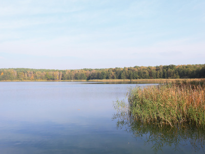 Pszczewski Park Krajobrazowy - Jezioro Lubikowskie