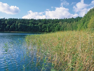 Drawieński Park Narodowy