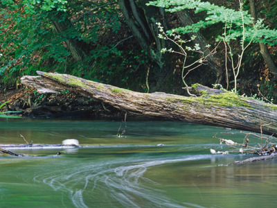 Drawieński Park Narodowy