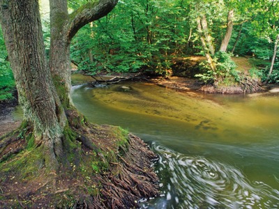 Drawieński Park Narodowy