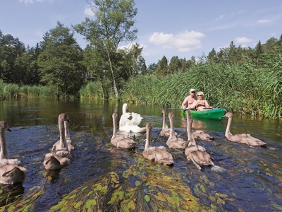 Spływ kajakowy
