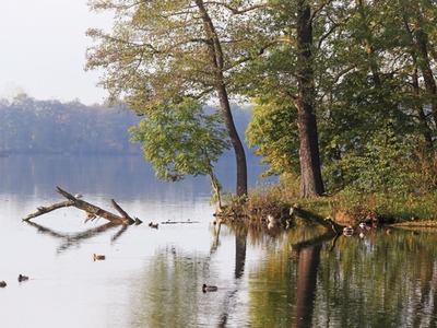 Jezioro Lubiąż