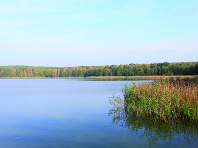 Jezioro Lubikowskie -  Pszczewski Park Krajobrazowy 