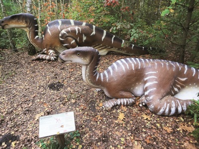 Nowiny Wielkie, Park Dinozaurów