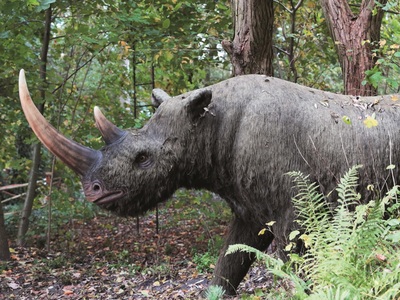 Nowiny Wielkie, Park Dinozaurów