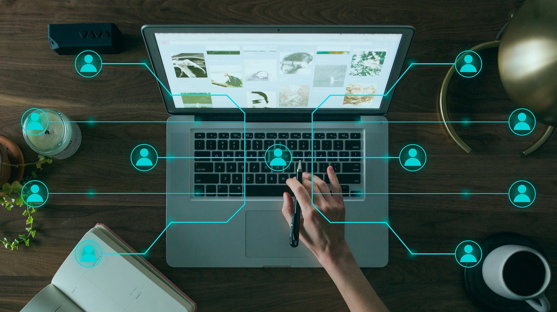 Na zdjęciu laptop z drzewkiem, symbolizującym sieć połączeń.