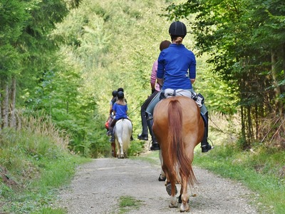 Miłośnicy konnych wypraw znajdą na terenie woj. lubuskiego wiele interesujących szlaków. Większość z nich znajduje się wokół stadnin. Są jednak i dłuższe trasy, które zachęcają do zaplanowania kilkudniowych wycieczek po Ziemi Lubuskiej. Fot. pixabay