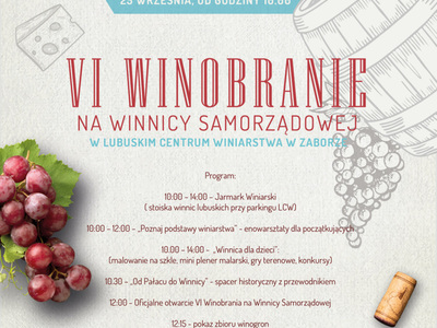 Winobranie na winnicy samorządowej w Zaborze - program