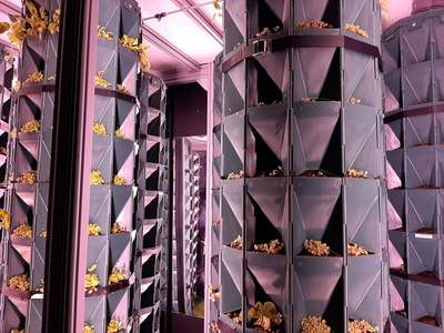 Wnętrze jednego z pawilonów EXPO 2020 w Dubaju