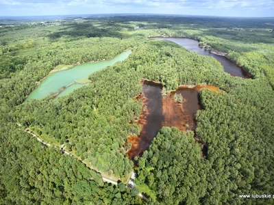 O utworzenie EUWT „Geopark Łuk Mużakowa” lubuski samorząd zabiegał sześć lat. To pierwsze tego typu ugrupowanie współpracy terytorialnej na polsko-niemieckim pograniczu.  
Jego głównym celem jest koordynacja, ułatwianie i wspieranie polsko-niemieckiej współpracy transgranicznej pomiędzy jego członkami, z korzyścią dla zrównoważonego rozwoju obszaru Geoparku Łuk Mużakowa.